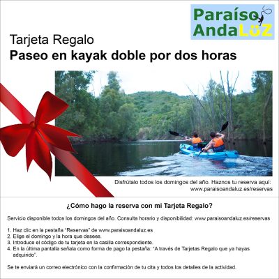 Paseo en kayak doble por dos horas, en Aznalcóllar (Sevilla)