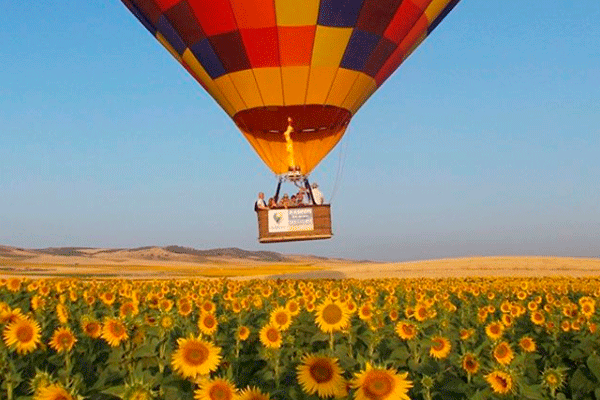 Balloon ride over sunflowers field. Sanlúcar la Mayor. Sevilla