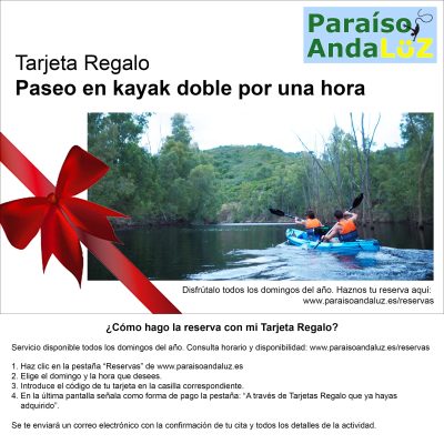 Paseo en kayak doble por una hora, en Aznalcóllar (Sevilla)